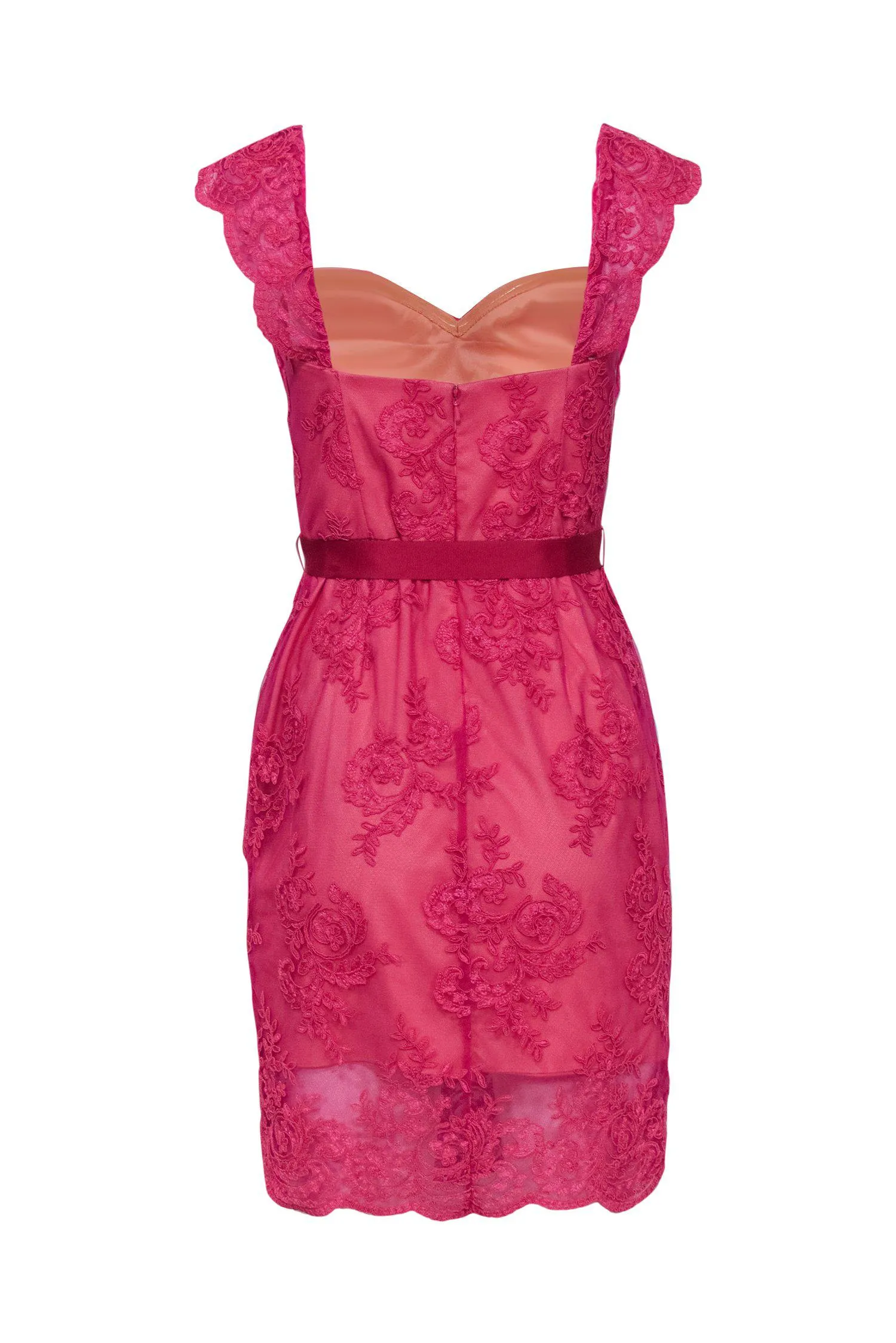 Aidan Mattox - Hot Pink Embroidered Bodycon Dress Sz 6