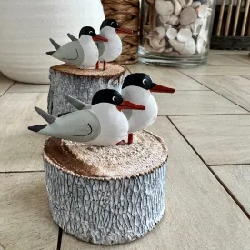 Common Terns