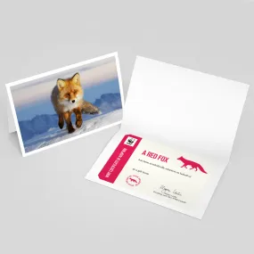 Red fox adoption card