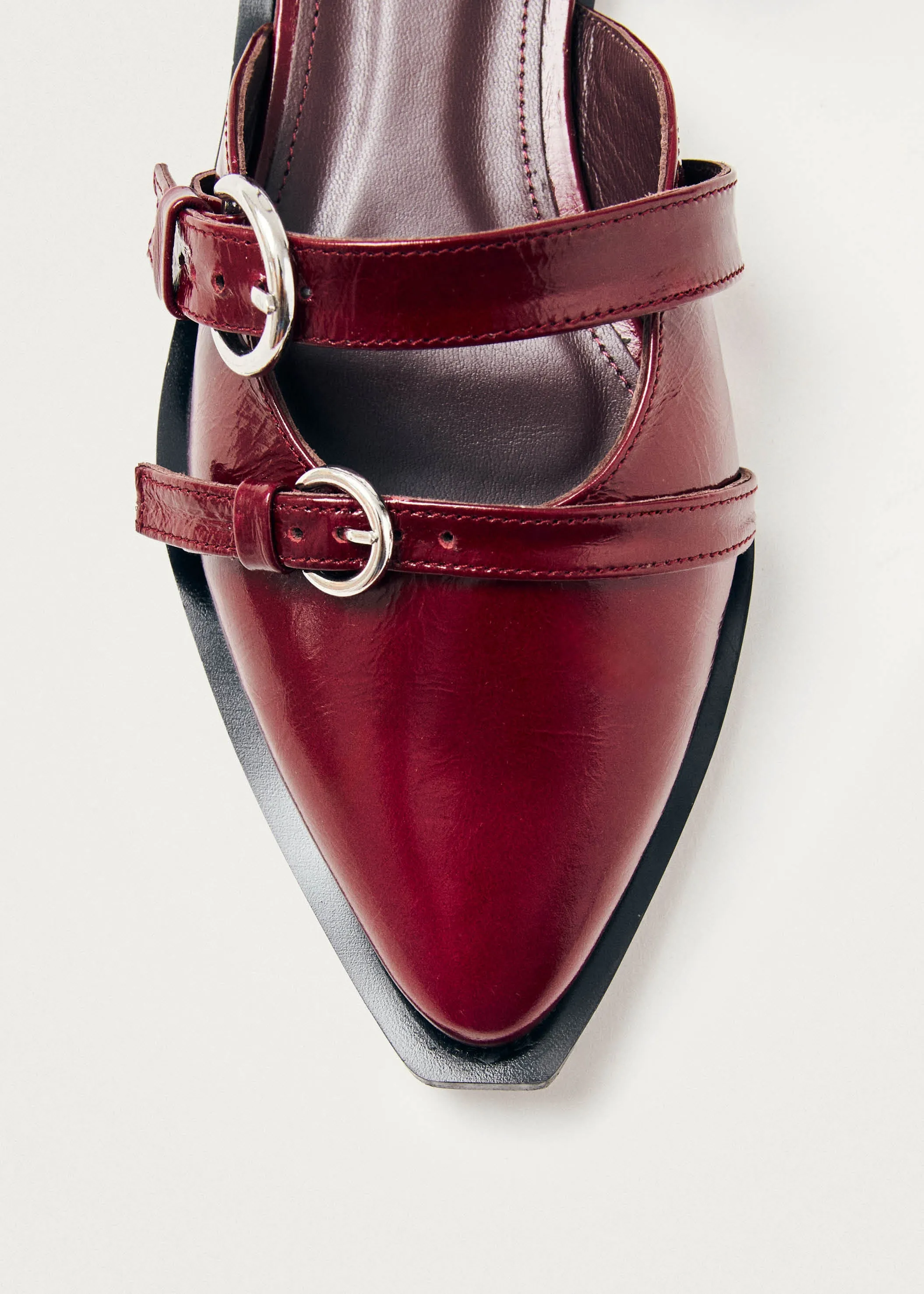 Thalara Onix Burgundy Leather Ballet Flats